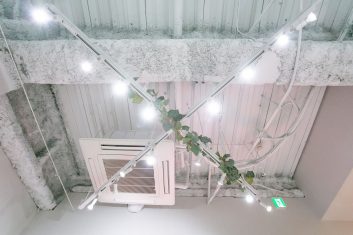 現代的な美容室の内装で、天井に取り付けられたスポットライトと緑の植物が見える空間デザイン